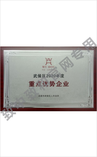 成都市武侯区2020年度重点优势企业